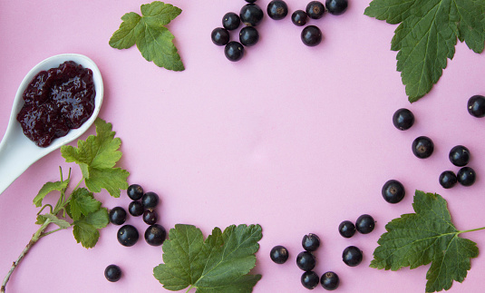 Close-up of berries blackberries  Macrophoto with strobe light