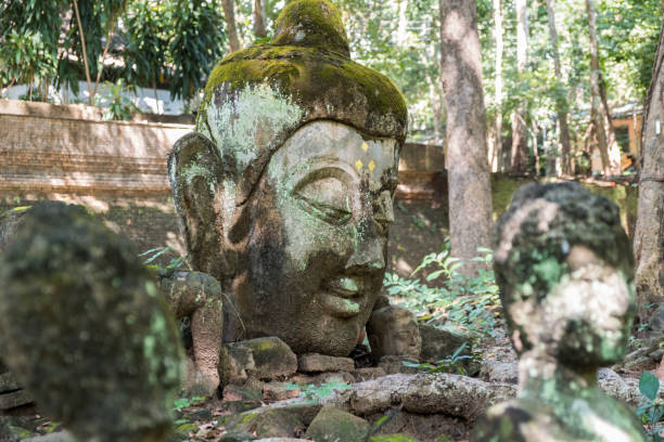 istock Wat Pha Lat Chiang Mai hidden jungle temple monkey trail Thailand 1412248971