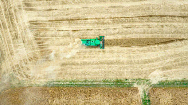 istock Harvesting a wheat field, dust clouds - aerial view 1412250280