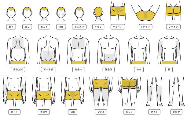 Body part sets by location for men's hair removal, beard and VIO, full body hair removal Body part sets by location for men's hair removal, beard and VIO, full body hair removal - Translation: under nose, chin, under chin, cheeks, chin up, nape of neck, back, chest, belly, armpit, upper arms, forearms, hands, legs, buttocks, feet stubble stock illustrations