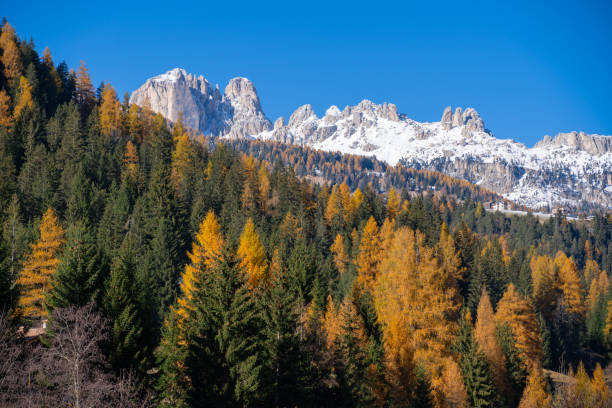 istock Val di Fiemme, Italy 1412252752