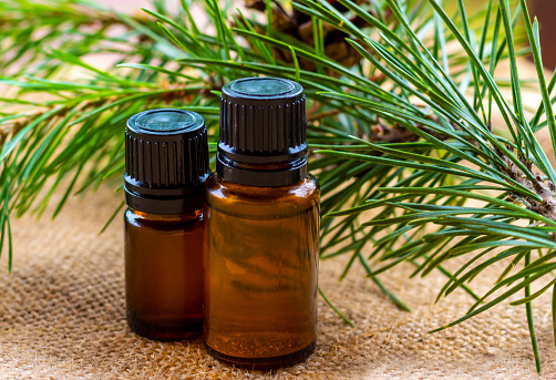 istock Pine essential oil. Dark insole bottles with essential oil and pine branch 1412254432