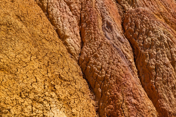 Cracked clay in the desert