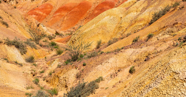 istock Cracked clay in the desert 1412255550