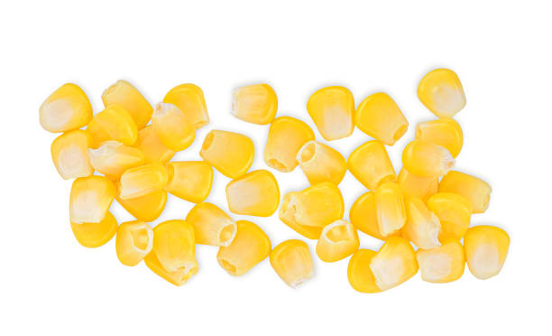 istock Heap of corn seeds isolated on white 1412255685