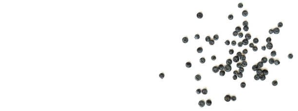 istock Blueberries are scattered on a white background 1412255886