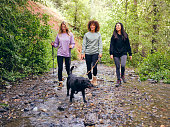 istock Group of Women Friends Hiking Outdoors 1412258290