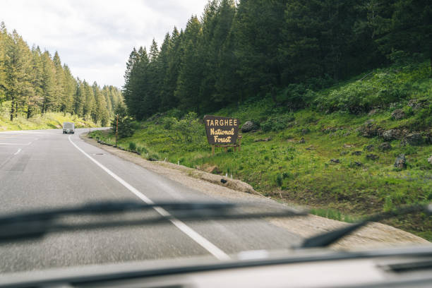 istock POV through vehicle to road and forest 1412260710