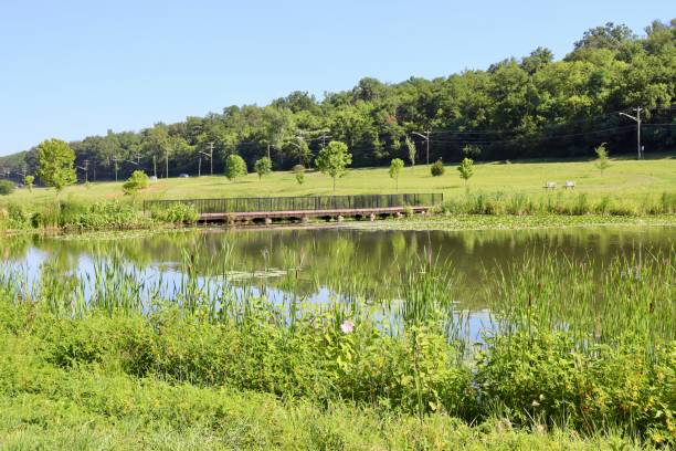 istock Pond in the Country 1412266915