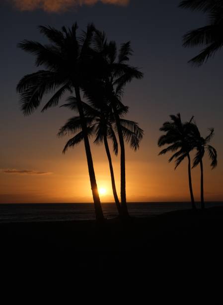 istock Nanakuli, Oahu Hawaii sunset 1412272436