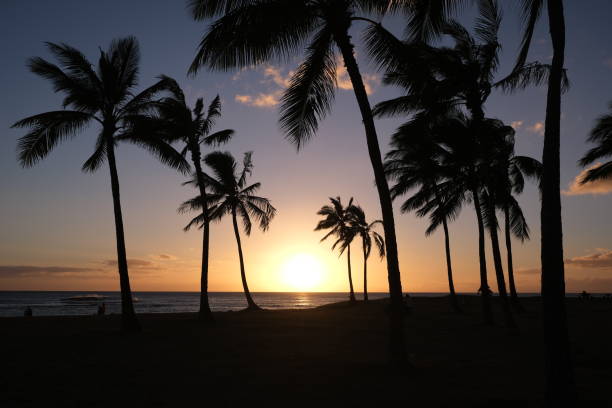 istock Nanakuli, Oahu Hawaii sunset 1412272465