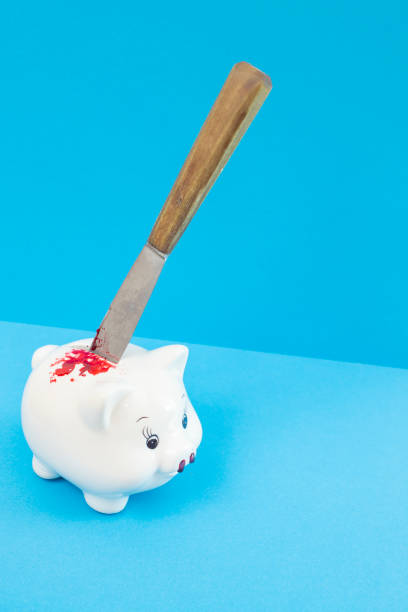 A Piggy Bank financial concept photo. Photographed using the Canon EOS 5DSR at 50mp