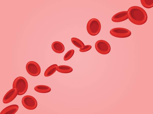 ヘモグロビン。流れる赤血球、赤血球。ヘルスケアの概念。 - human cardiovascular system blood human blood vessel platelet点のイラスト素材／クリップアート素材／マンガ素材／アイコン素材
