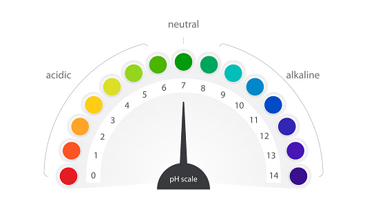 Ph Scale Vector Indicator Chart Diagram Acidic Alkaline Measure向量圖形及更多酸 ...