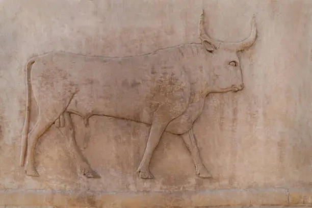 Photo of Relief of Bull with horns on a block in the open-air Museum at Karnak Temple. Luxor . Egypt .