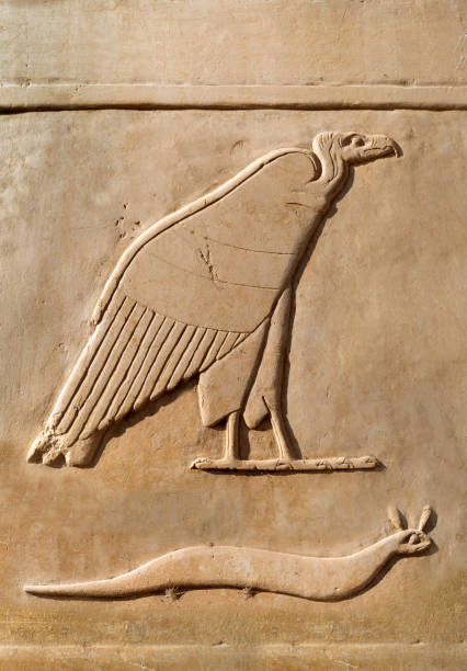 wall relief showing vulture and viper at karnak temple . luxor .egypt. - snake cobra egyptian cobra poisonous organism imagens e fotografias de stock