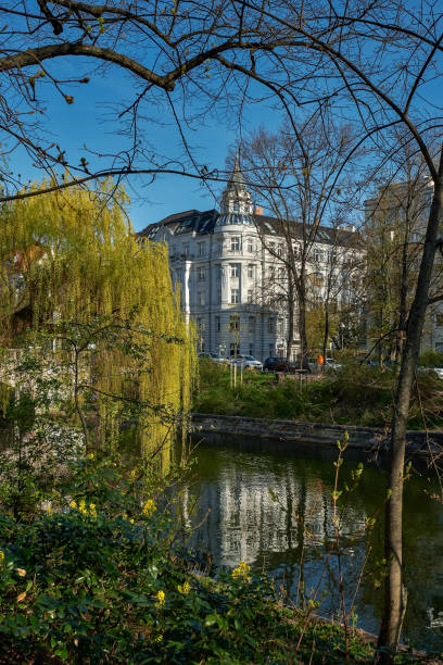 Blooming willow tree at Berlin-Kreuzberg's 