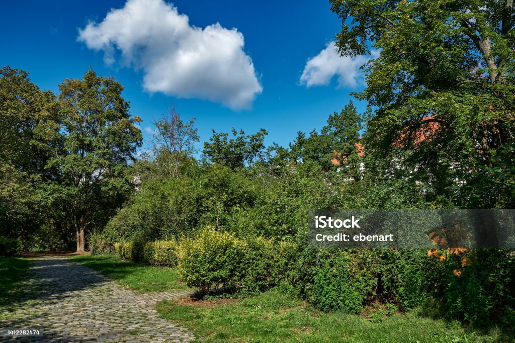 The former municipal cemetery at Berlin-Lichtenberg’s "Rathausstraße" is now a public park Botanical specs: nature in the city - additional specs: local recreation Berlin Stock Photo