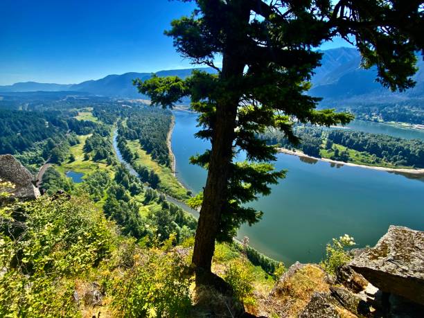 der hohe blick auf die great colombia river gorge von der spitze des beacon rock aus gesehen. - mountain mountain peak oregon on top of stock-fotos und bilder