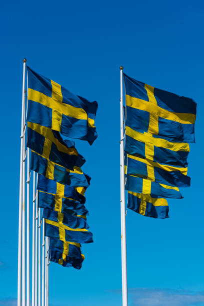 istock Several swedish flags flying on flagpoles.. 1412285801
