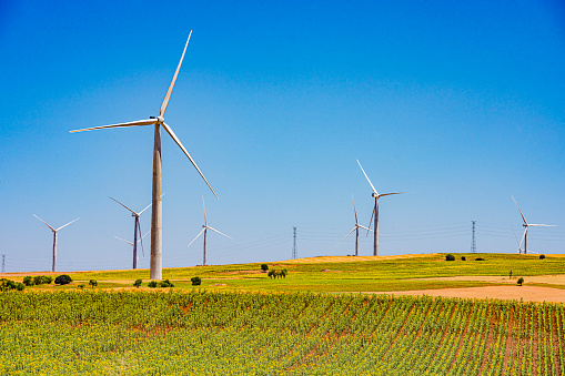 Several wind turbines in a sunflower field in Spain. High resolution 42Mp outdoors digital capture taken with SONY A7rII and Canon EF 70-200mm f/2.8L IS II USM Telephoto Zoom Lens