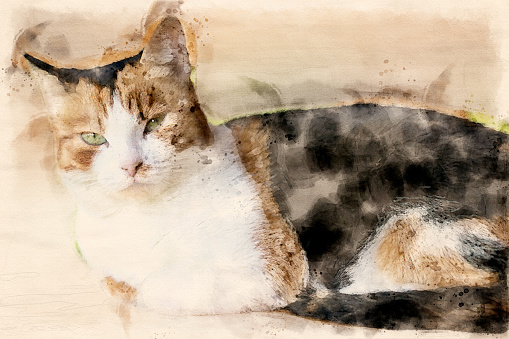 Watercolor painting of one cat on the bench in summer season