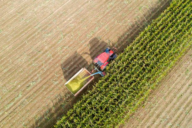 istock Farm Machines Harvesting Corn, Aerial View 1412295078