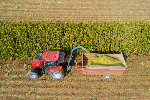 Corn harvesting with a harvester tractor and trailer, aerial view.