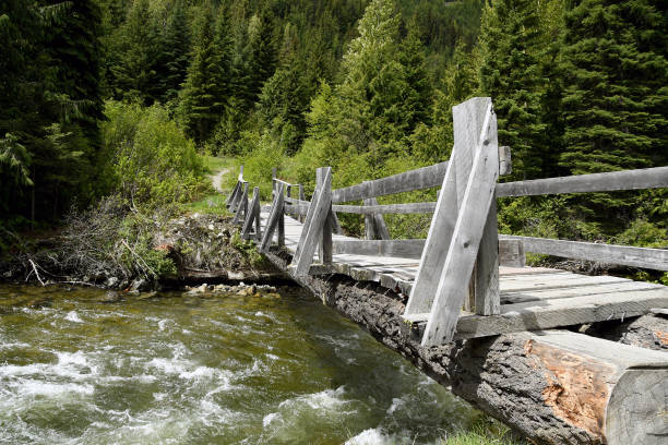 istock Wooden bridge to a forest across a clear river 1412298130