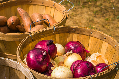 Wooden bushed baskets of red and white onions and sweet potatoes at a Cape Cod farmers market in July.