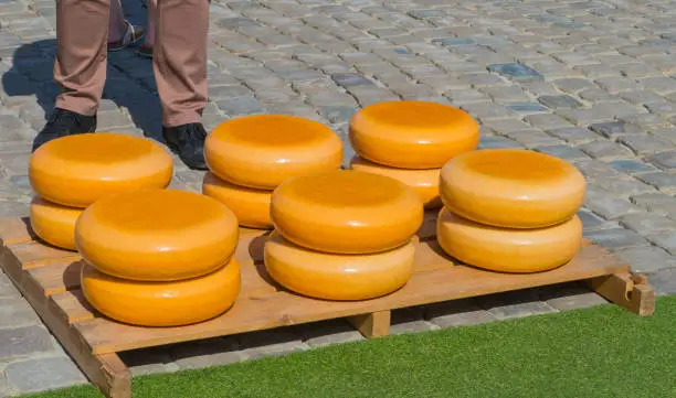 Photo of Fresh Cheese on Market of Gouda Netherlands