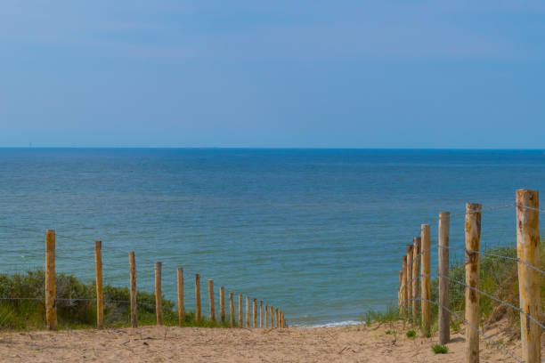istock Dune Path to the Beach Noordwijk Netherlands 1412302118
