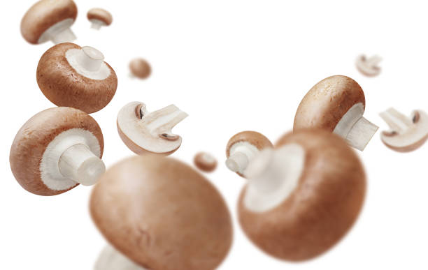 istock Flying delicious mushrooms on white 1412308313