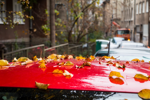 An idyllic autumn scene on the city street, park