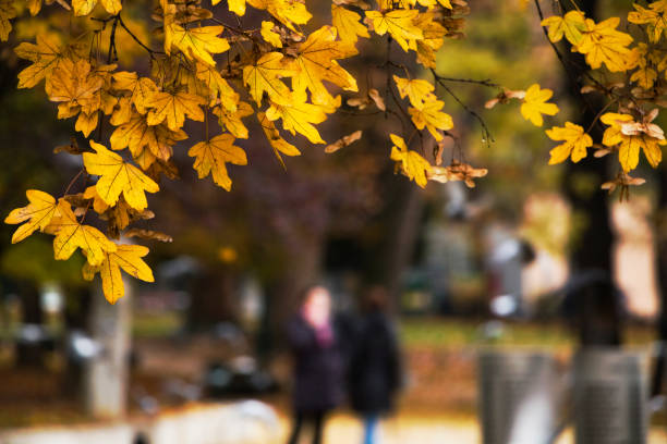 istock Autumn in the city 1412312999