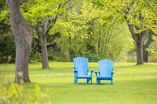a picture of Colorful blue Adirondack chairs in a park