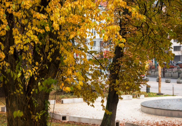 istock Autumn in the city 1412313117