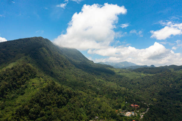 istock Mountain landscape with mountain peaks covered with forest. 1412321991