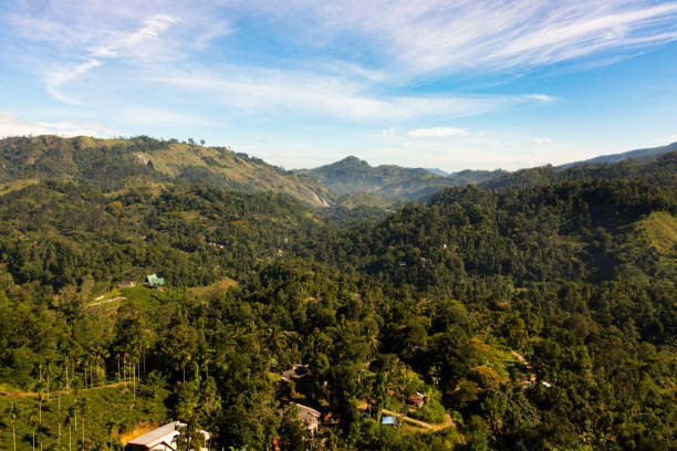 Top view of town in the mountainous province of Sri Lanka. stock photo
