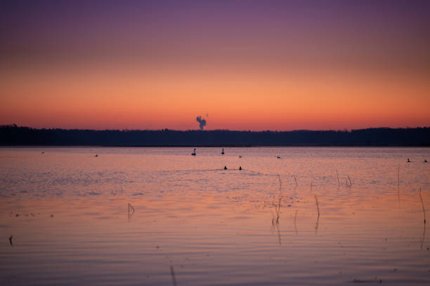 Early morning at the bird reservation on the lake