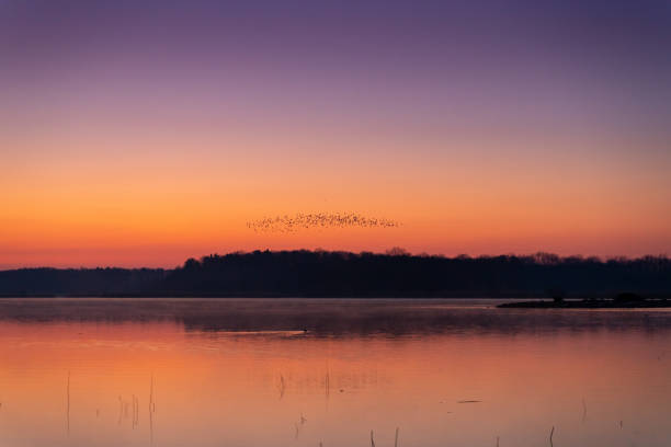 istock Sunrise at the lake in bird reservation 1412324594