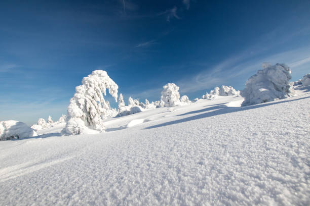 istock Fresh powder snow at the sunny morning 1412325965