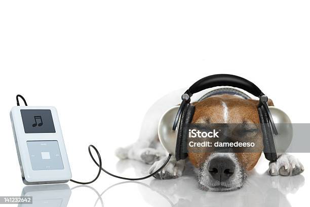 Dog Listening To Melody With A Music Player Stock Photo - Download Image Now - Headphones, Animal, Animal Hair