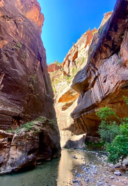 istock The Narrows, Zion National Park 1412327668