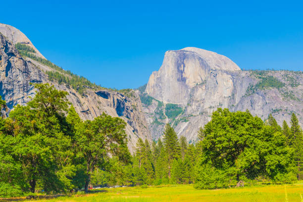 Yosemite National Park is in Californiaâs Sierra Nevada mountains. Itâs famed for its giant, ancient sequoia trees, and for Tunnel View, the iconic vista, Upper Yosemite Falls, Yosemite National Park, California el parque nacional yosemite se encuentra en las montañas de sierra nevada de california. es famoso por sus gigantescos y antiguos árboles de secuoyas, y por tunnel view, la vista icónica, upper yosemite falls, parque nacional de yosemite, california