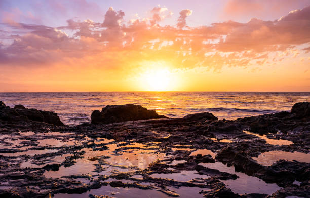 beach sunset sunset at the tide pool laguna beach california photos stock pictures, royalty-free photos & images