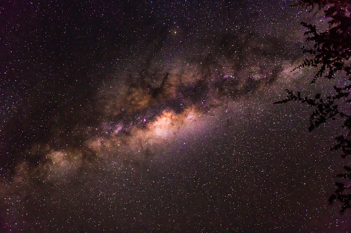 Image f the Milkyway over the the Timbavati, South Africa
