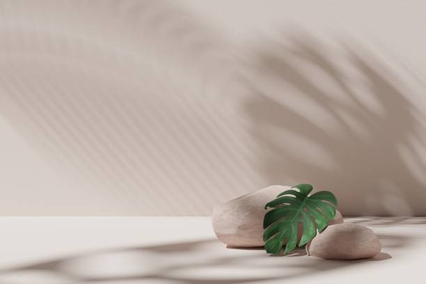 istock Abstract geometric composition with branch and shadow on the wall, Natural stone step pedestal. 3D render. Mock up for exhibitions. 1412342046
