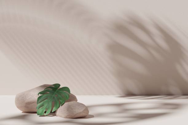 istock Premium podium on pastel Background for product display, Abstract geometric composition with branch and shadow on the wall, 3D render. Mock up for exhibitions. Promotion. 1412342249