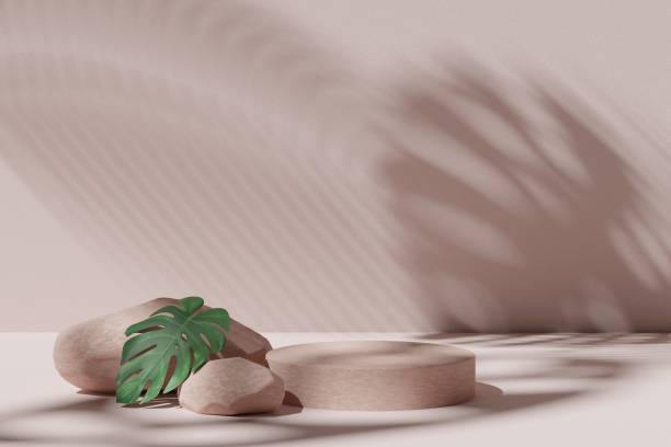istock Abstract geometric composition with branch and shadow on the wall, Natural stone step pedestal. 3D render. Mock up for exhibitions. 1412342280